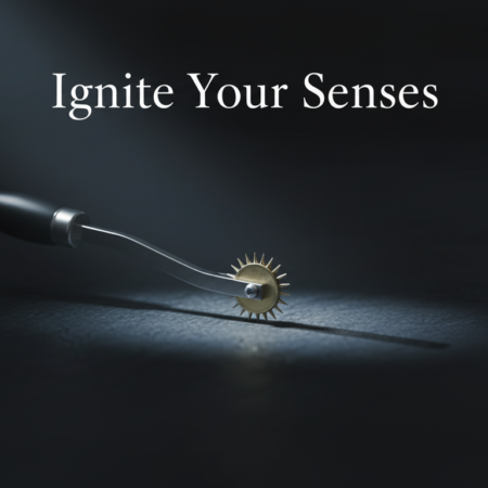 Black Stainless Steel Pinwheel 7-Inch Single Row Sensory Tool